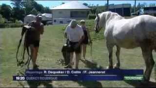 Les Roulottes du Pradal - JT France 3 Quercy Rouergue