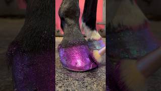 GLITTER LOVERS ❤️ Eco friendly glitter♻️ #glitter #shortsvideo #creator #horse