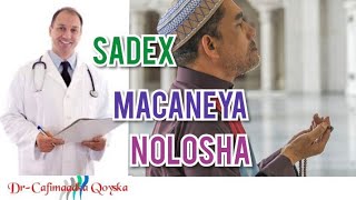 Daawo. Sadex Macaaneeya Nolosha Qofka