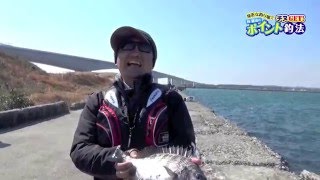 身近な釣り場でチヌGET！林賢治のポイント釣法