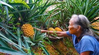 原生態菠蘿鴨做法，學會這幾步，酸甜開胃，比外面賣的還好吃｜Guangxi grandmother, making Chinese food with fruit pineapple｜广西美食 玉林阿婆