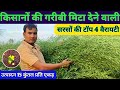 15 क्विंटल प्रति एकड़ उत्पादन देने वाली सरसों की 4  वैरायटी / sarson ki top Variety/ sarson ki kheti