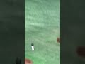 【現地映像】坂本勇人、満塁のチャンスから2点タイムリーヒット