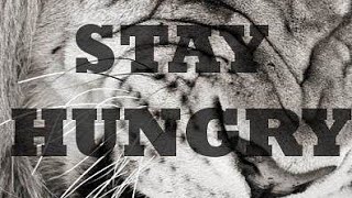 Lion Motivational Video  (Never Giving Up)