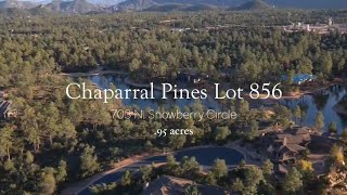 703 N Snowberry - Chaparral Pines Lot 856