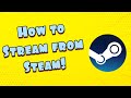 How To Stream Straight From Steam 2020