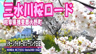 【リターンライダーのツーリング日記】岐阜県揖斐郡大野町/三水川桜ロード(みみずがわさくらろーど)　NC700X/Insta360 車載映像