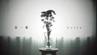 Leica - 春一番(Official Music Video)