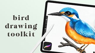 How to Draw Birds: Procreate Tutorial (for any level!)