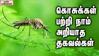 The Unknown Facts Of Mosquitos ||  கொசுக்கள் பற்றி நாம் அறியாத தகவல்கள்    |