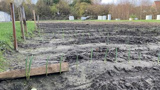 Gartenrundgang Dezember \u0026 Gartenpläne für 2022 🌱