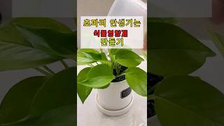 바나나 껍질로 식물영양제 만들기 #천연비료 #화분영양제