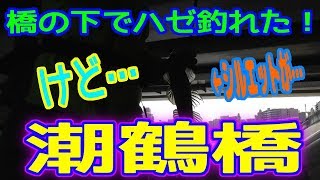 釣り動画ロマンを求めて 282釣目（潮鶴橋（鶴見川）