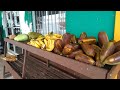 life in pohnpei public market