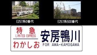 【JR東日本】E257系500番代JR外房線第二道の下踏切通過