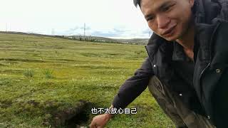 摩旅新疆冒雨露营，吃完自己晚餐，又去蹭吃当地藏族帅哥们的烧烤，蹭吃真香