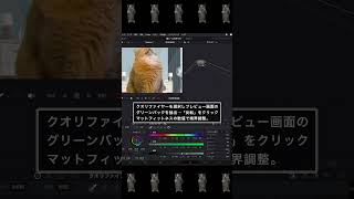 【猫ミーム 作り方】 無料編集ソフトDaVinci Resolve