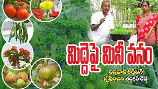 Mini Forest on Roof || అడవిని తలపించేలా...  || Shankar Reddy || Nalgonda