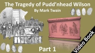 Part 1 - The Tragedy of Pudd'nhead Wilson Audiobook by Mark Twain (Chs 1 - 12)