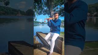 Krishna Flute | Cortoon theme #janmastami #littlekrishna #krishnaflutemusic