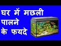 Download फिश एक्वेरियम और वास्तु टिप्स घर के लिए Fish Aquarium Removes all Vastu Dosh In Mp4 3Gp Full HD Video