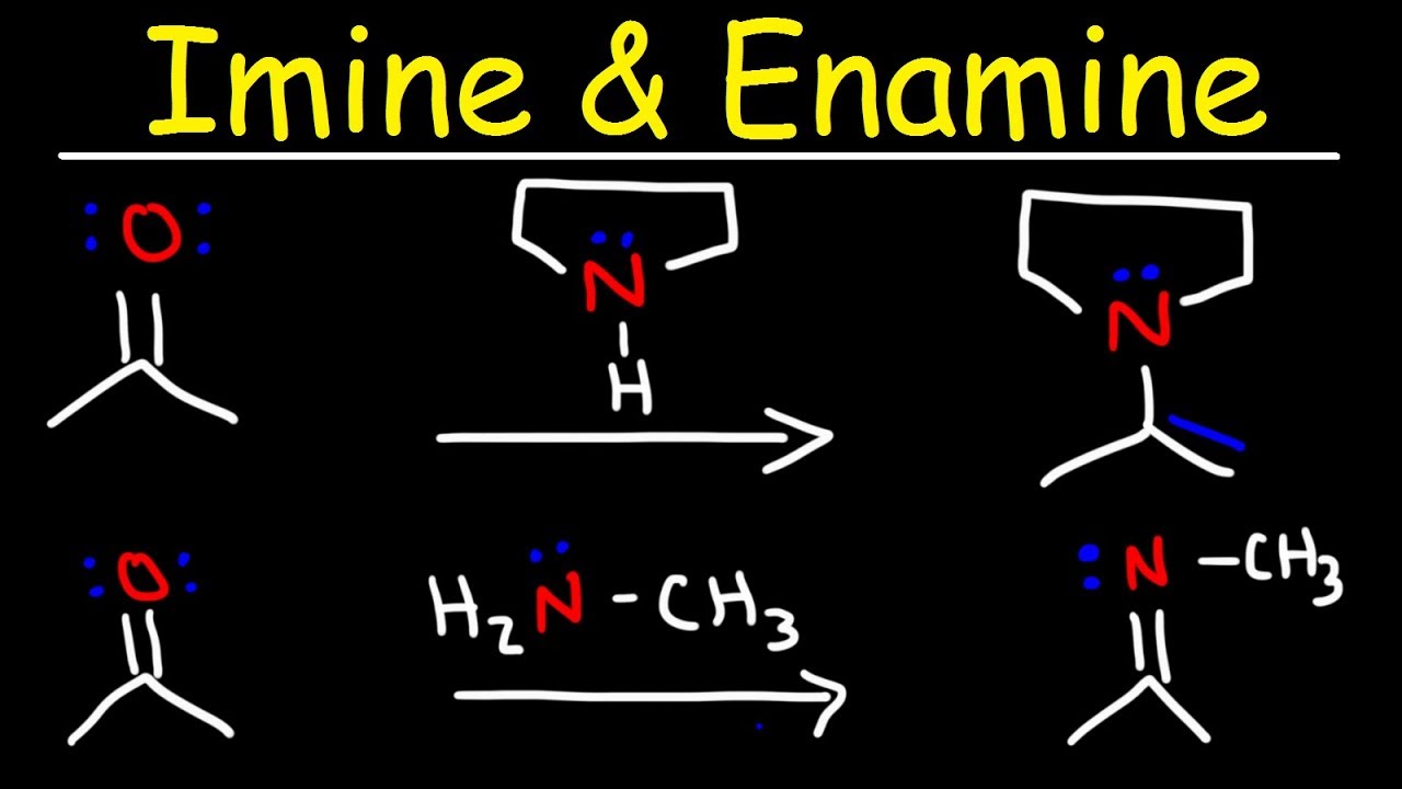 Imine And Enamine Formation Reactions With Reductive Amination - YouTube