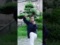 传承中华武魂吾辈当自强！ 太乙游龙拳 太极 弘扬中华武术 圆你一个武侠梦