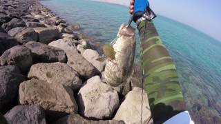 My fishing adventure in abu dhabi Hamour ( Lapu-Lapu ) may 2016