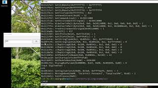 Qiling DEMO 2 - Hot-patching a windows crackme
