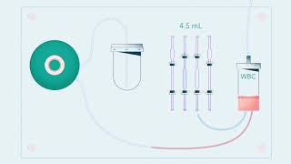 Medonic Animation Measuring System