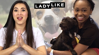 We Fostered Rescue Dogs For Two Weeks • Ladylike