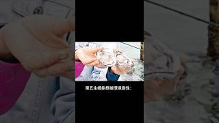 五個食物的冷知識 #冷知识 #小知識 #科普#正能量