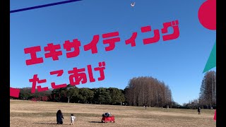 たこあげ　風が強くて凧が飛んでった　エキサイティング凧あげ