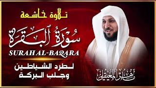 الشيخ ماهر المعيقلي سورة البقرة النسخة الأصلية  Surat Al Fatihah Official Audio