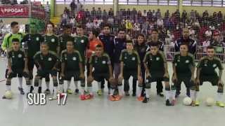 PALMEIRAS NA TV - Palmeiras faz história no Futsal paulista