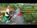 KOLAM WARGA JEBOL..!! Rejeki nomplok.. Nyeser ikan diparit kecil panen ikan nila MONSTER-MONSTER