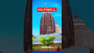 ଚକ୍ର ଆଢୁଆଳ କରି ରଖିଥିବ ମୋତେ🙏 #youtubeshorts