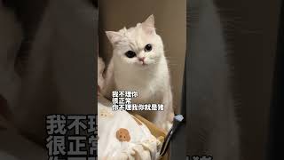 你不理我你就是猪！