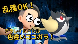 #1【ポケモンSV】乱獲OK!色違いココガラ配布レイド！