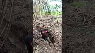 bikin parit untuk pengaliran air kebun kelapa#masukberanda #fyp #subscribe #mychannel