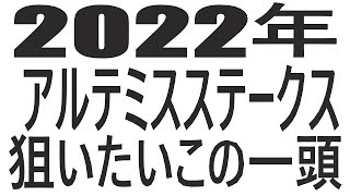 【競馬】２０２２年アルテミスステークスの狙いたいこの一頭