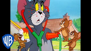 Tom y Jerry en Latino | Jerry el Burlador | WB Kids