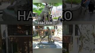 एक वफादार Dog HACHIKO ❤️की यह कहानी आपकी आंखो में आसू ला देगी🥺.....@A2Motivation #viralstory