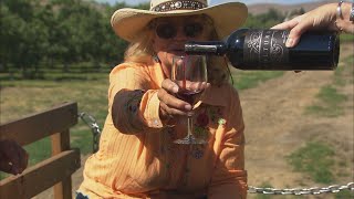 Wine tasting aboard a 'cowboy limo' in Yakima County - KING 5 Evening