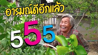 คุณยาย รดน้ำผักที่ปลูกไว้ ใช้น้ำประปารด จ่ายค่าน้ำเดือนละเท่าไหร่ ?