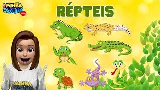 Répteis G4 - Educação Infantil - Videos Educativos - Atividades Para ...