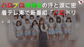 ハロプロ研修生の汗と涙に密着 テレ東で新番組『ハロドリ。』