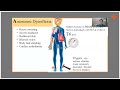 overview and management of autonomic dysreflexia medical case discussion