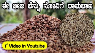 ಈ ಬೀಜದ ಬಗ್ಗೆ ಇಷ್ಟು ದಿನ ಯಾರು ಹೇಳಲೇ ಇಲ್ಲ | Thathai / Dill Seeds/ Thatappe Beeja Benefits By Food Media