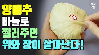 양배추를 바늘로 찔러주면 위와 장이 살아납니다! (쉽게 만드는 방법도 확인하시고 건강을 지키세요~)